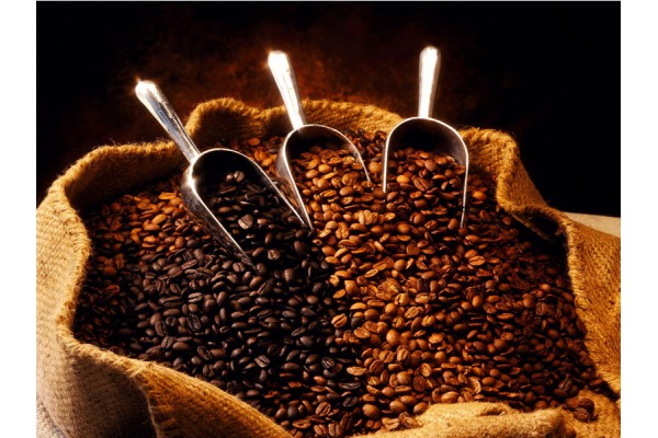 Quy trình sản xuất cà phê hạt đạt chuẩn